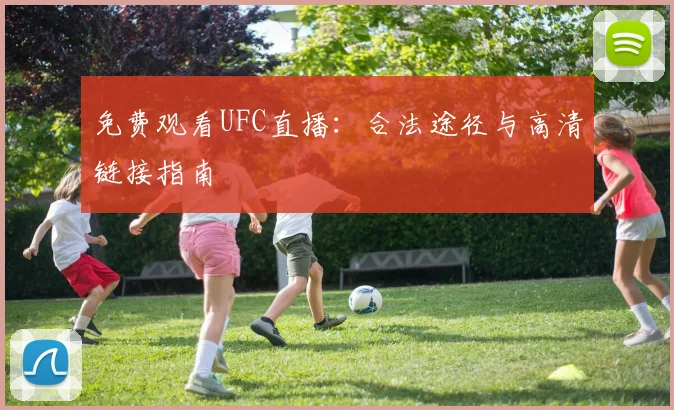 免费观看UFC直播：合法途径与高清链接指南