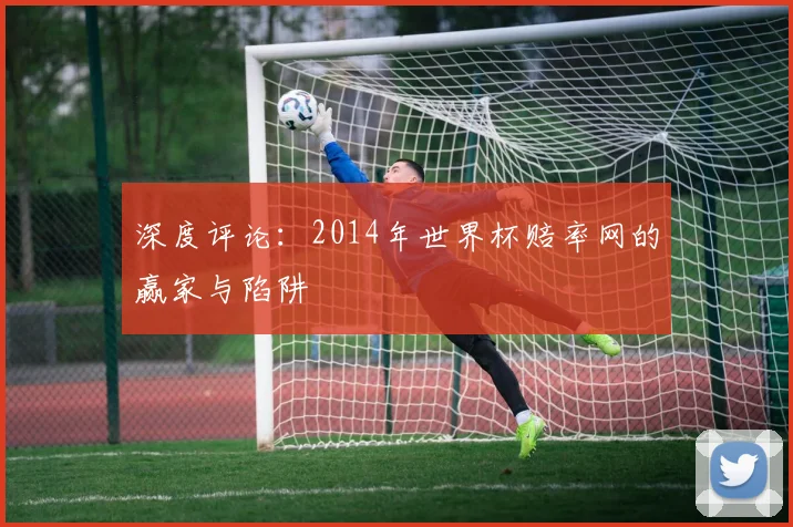 深度评论：2014年世界杯赔率网的赢家与陷阱