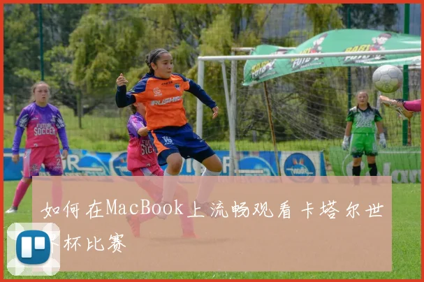 如何在MacBook上流畅观看卡塔尔世界杯比赛