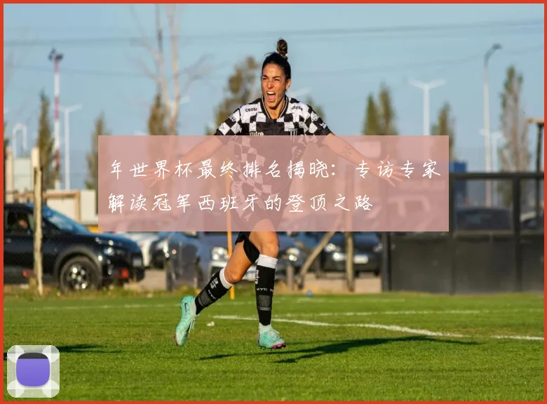 年世界杯最终排名揭晓：专访专家解读冠军西班牙的登顶之路
